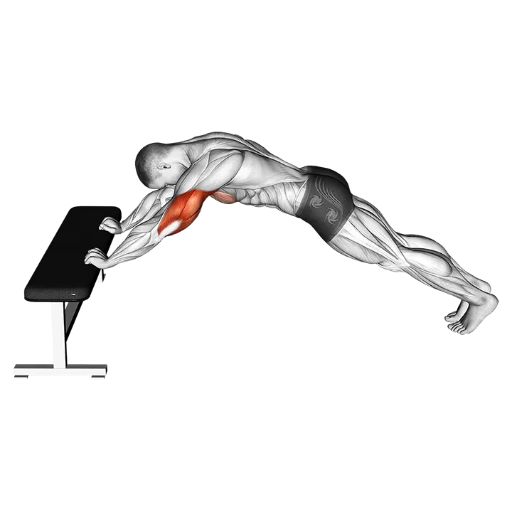 Triceps Press (Head Below Bench) exercise animation (Male)