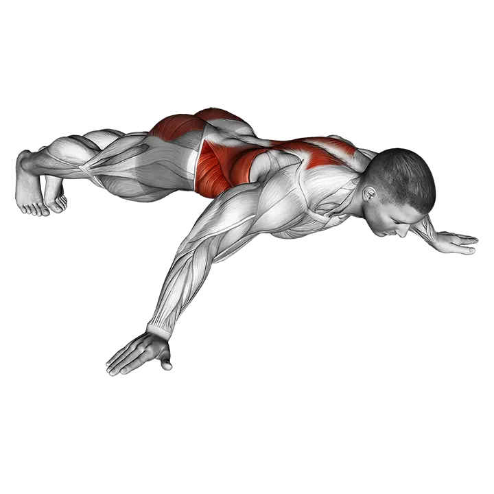 Iron Cross Plank exercise animation (Male)