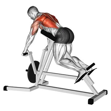 Lever Lying T-bar Row
