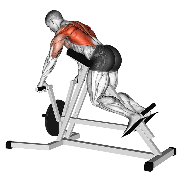 Lever Lying T-bar Row exercise animation (Male)