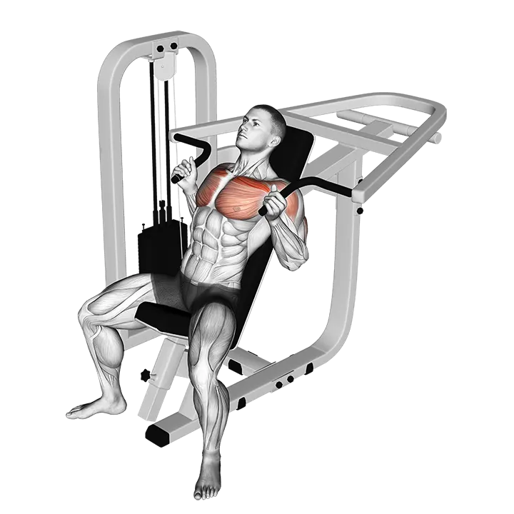 Lever Incline Hammer Chest Press exercise animation (Male)