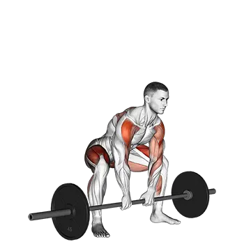 Sumo Deadlift High Pull