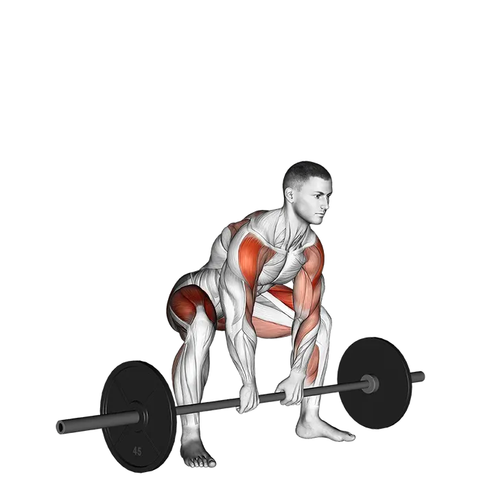 Sumo Deadlift High Pull exercise animation (Male)