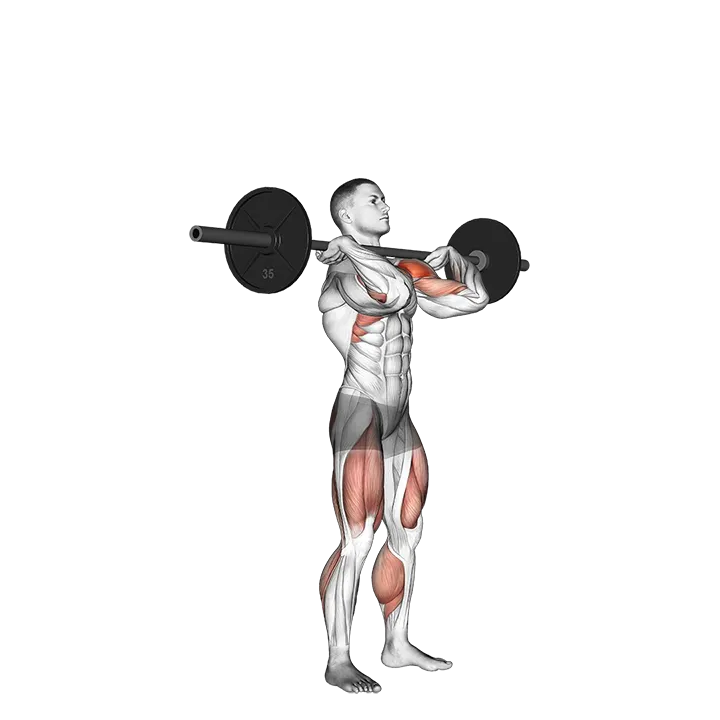 Push Press exercise animation (Männlich)
