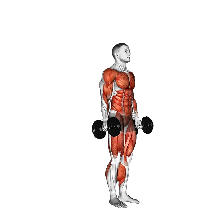 Dumbbell burpee exercise animation (Male)