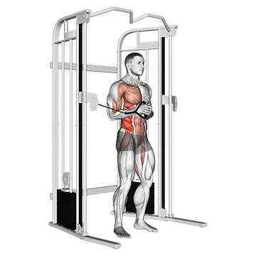 Cable horizontal Pallof Press
