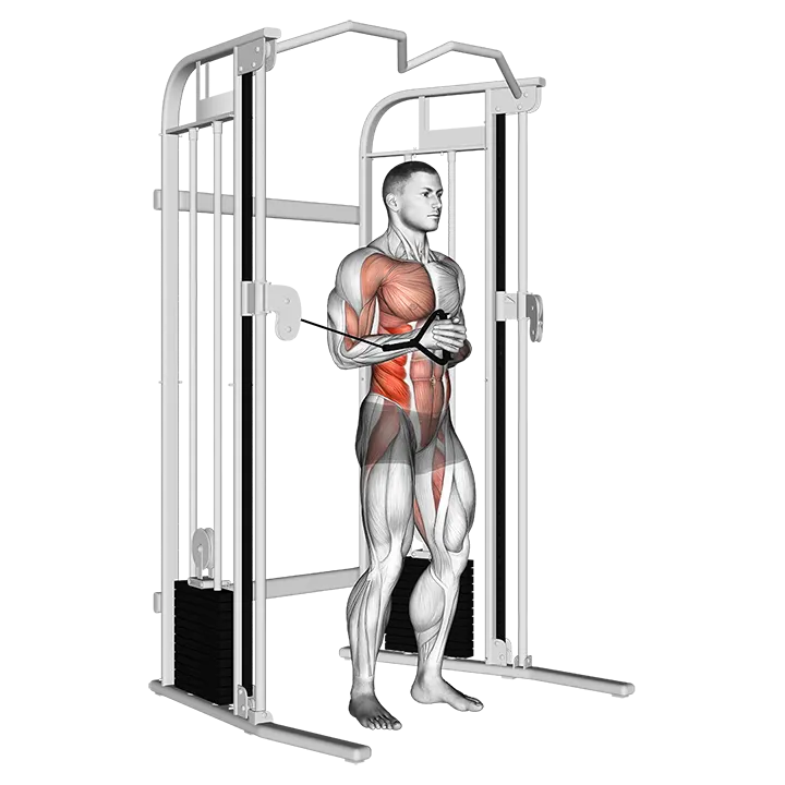 Cable horizontal Pallof Press exercise animation (Male)