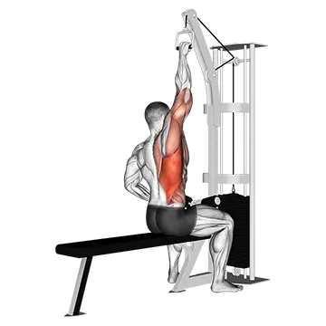 Cable one arm lat pulldown