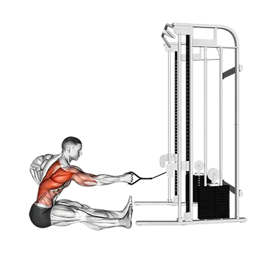 Cable one arm twisting seated row