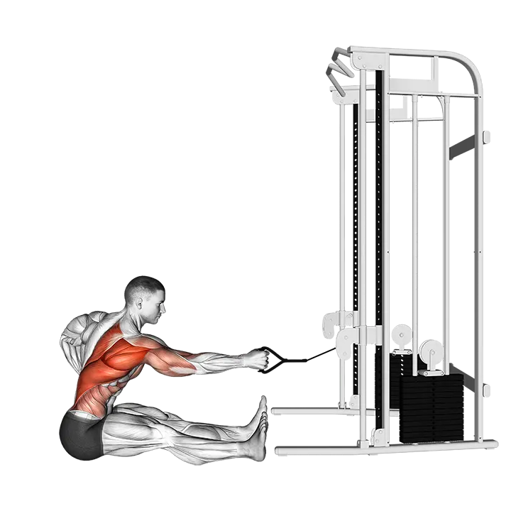Cable one arm twisting seated row exercise animation (Male)