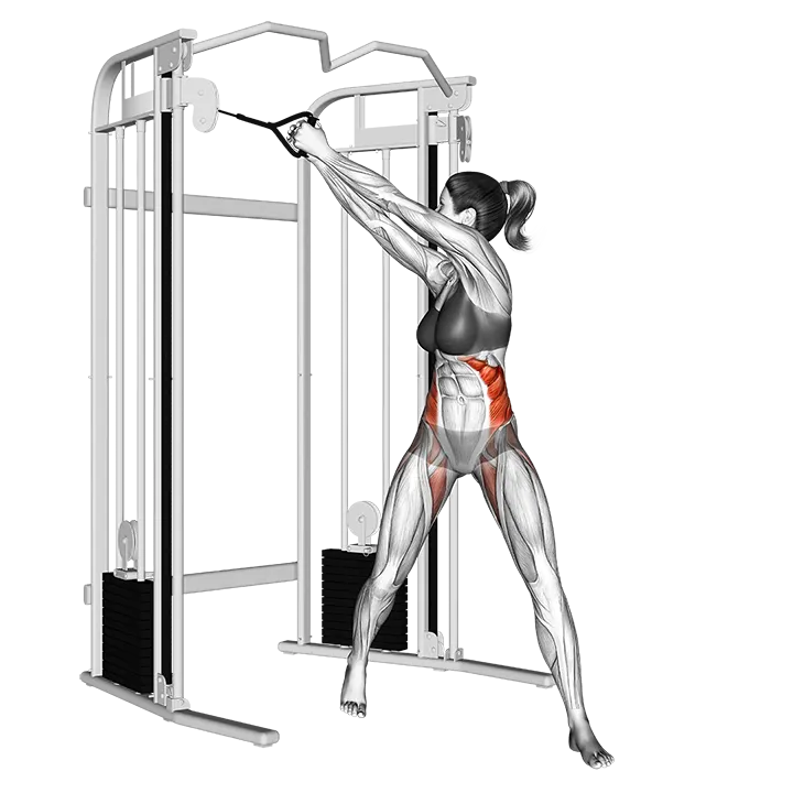 Cable twist (up down) version 2 exercise animation (Female)