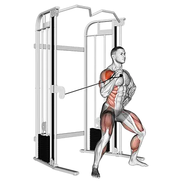 Cable twisting overhead press