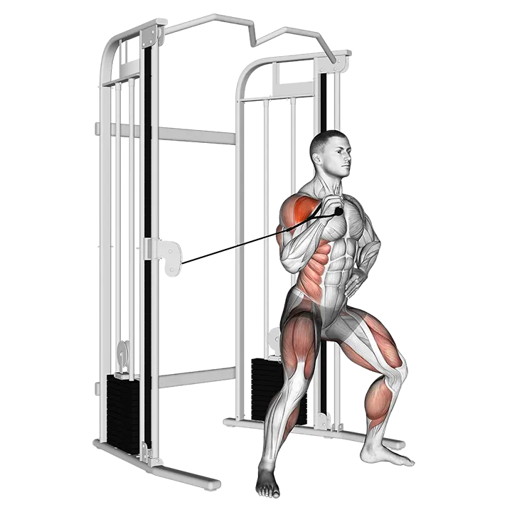 Cable twisting overhead press exercise animation (Male)