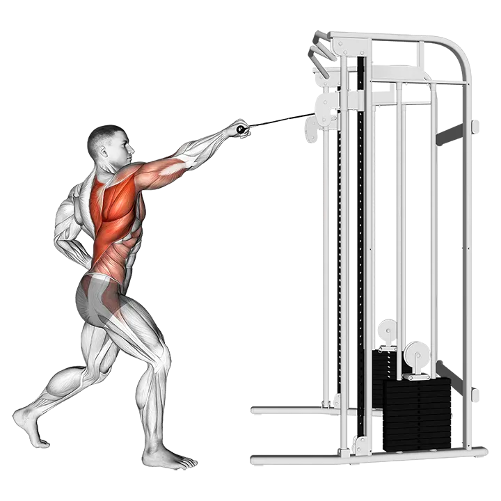 Cable Twisting Standing high Row exercise animation (Male)