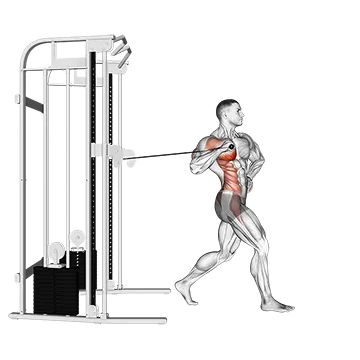 Cable twisting standing one arm chest press