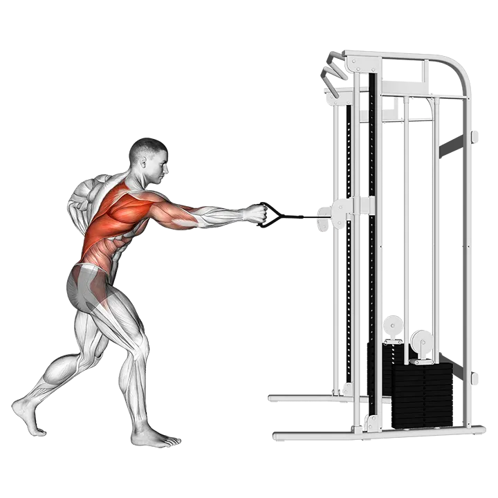 Cable Twisting Standing Row exercise animation (Male)
