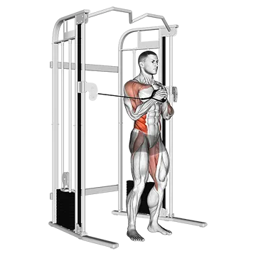 Cable vertical Pallof Press