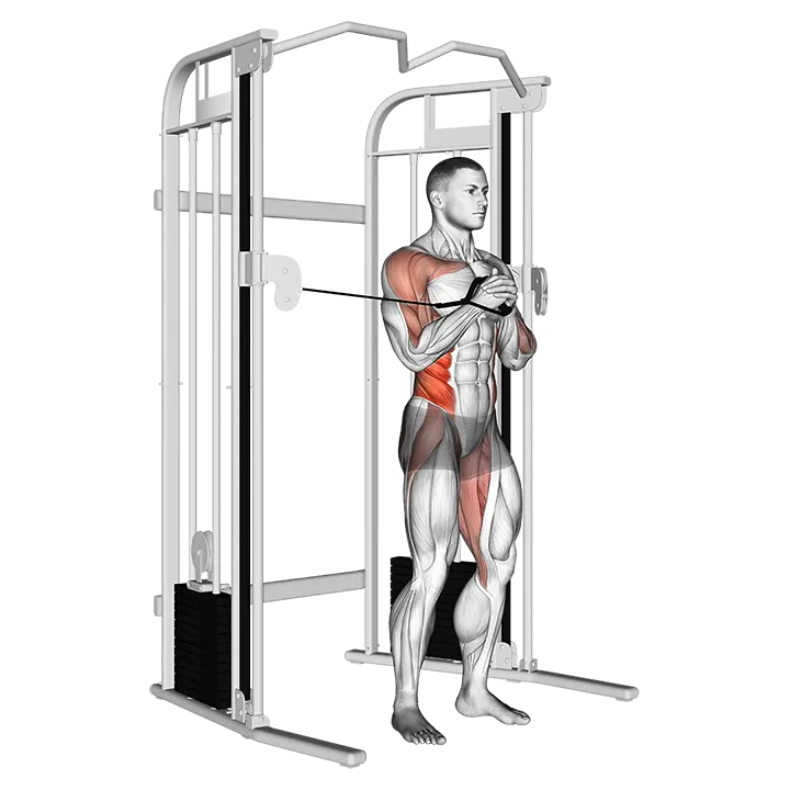 Cable vertical Pallof Press exercise animation (Male)