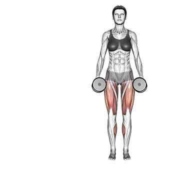 Dumbbell side lunge
