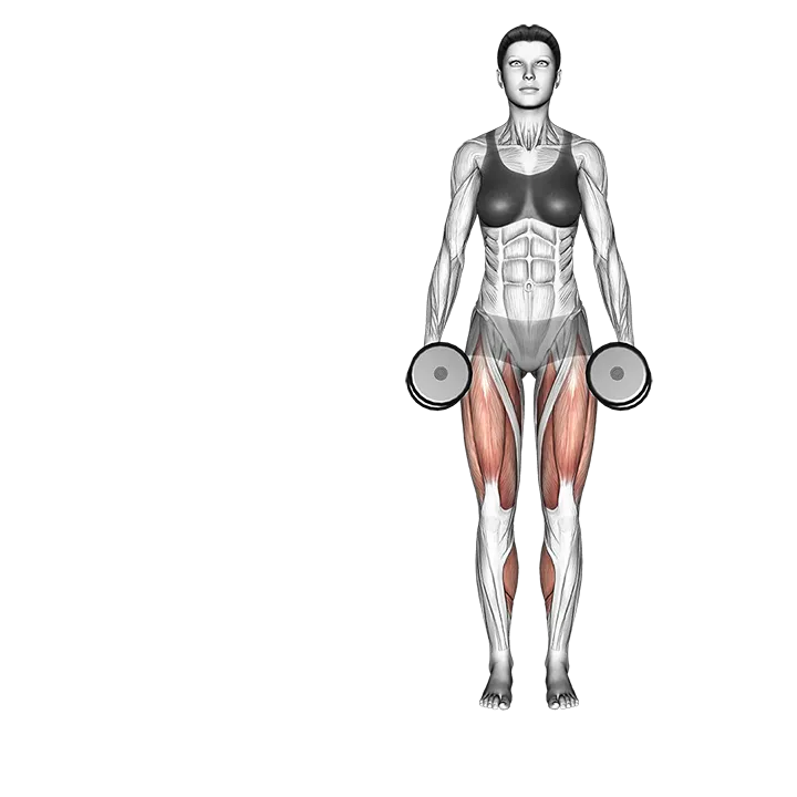 Dumbbell side lunge exercise animation (Female)
