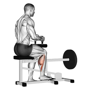 Lever seated one leg calf raise
