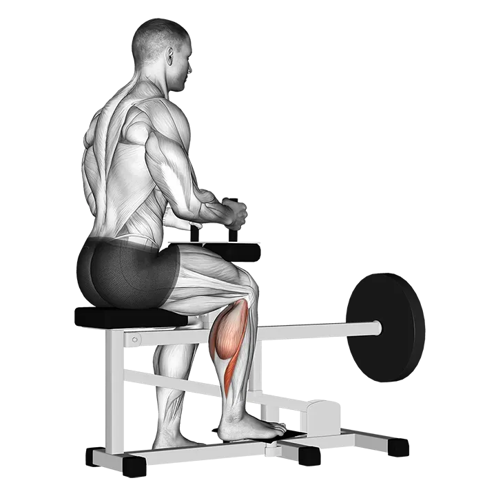 Lever Seated One Leg Calf Raise exercise animation (Male)