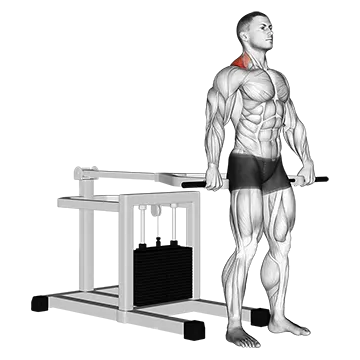 Lever Shrug (bench press machine)