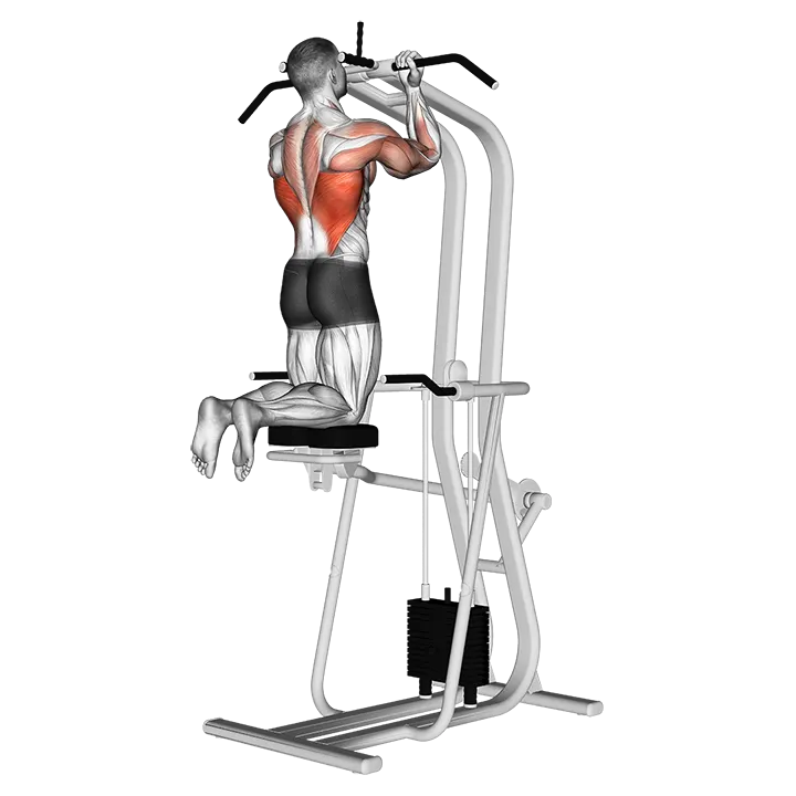 Assisted Close-grip Underhand Chin-up exercise animation (Male)