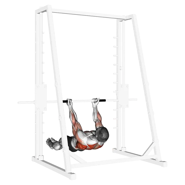 Underhand-Grip Inverted Back Row exercise animation (Male)