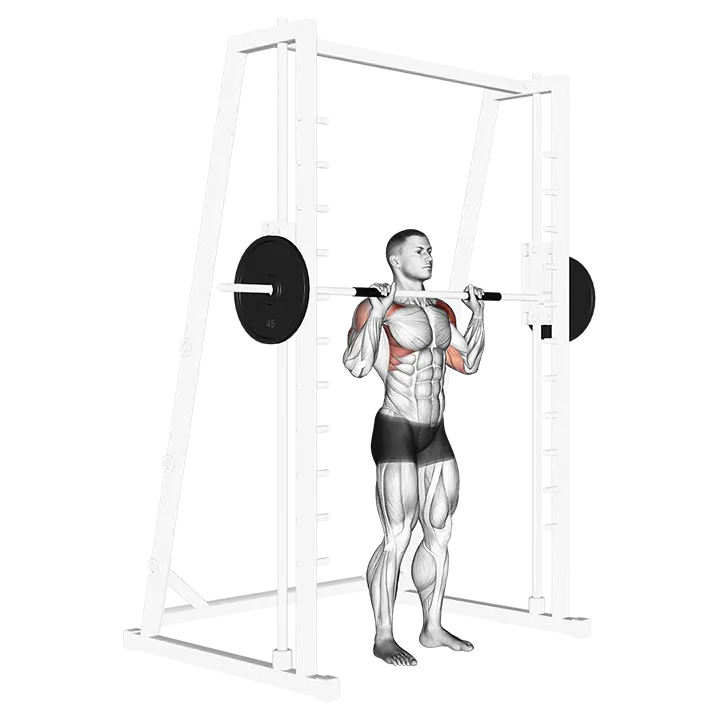 Smith Standing Shoulder Press exercise animation (Male)