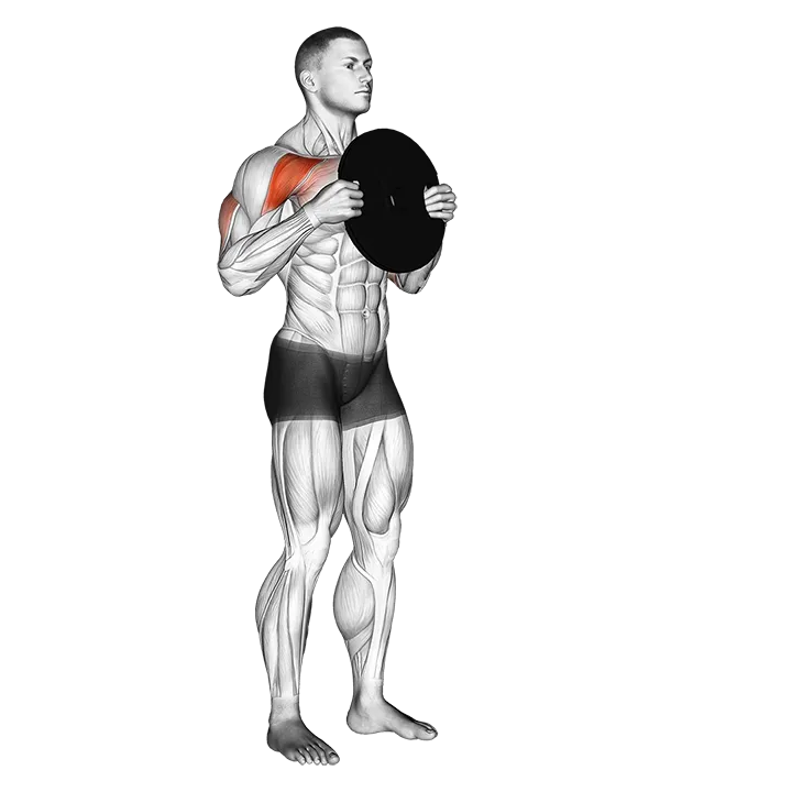 Standing Plate Presses exercise animation (Male)