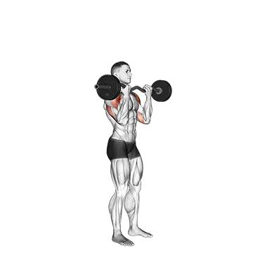 EZ-Bar Standing Overhead Press