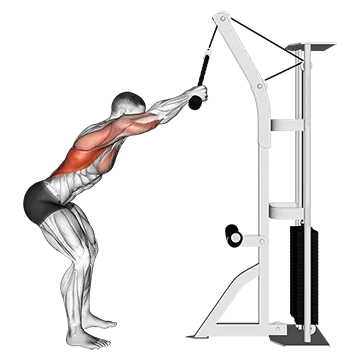 Cable Standing Lat Pushdown (rope equipment)