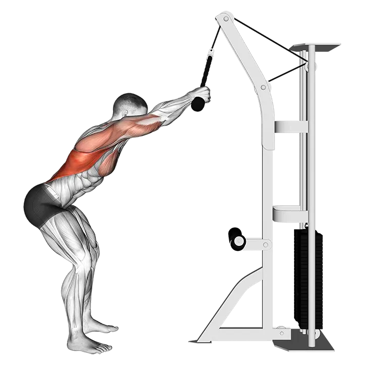 Cable Standing Lat Pushdown (rope equipment) exercise animation (Male)