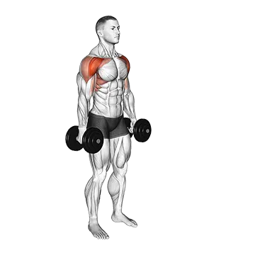 Dumbbell Standing Alternate Vertical Front Raises