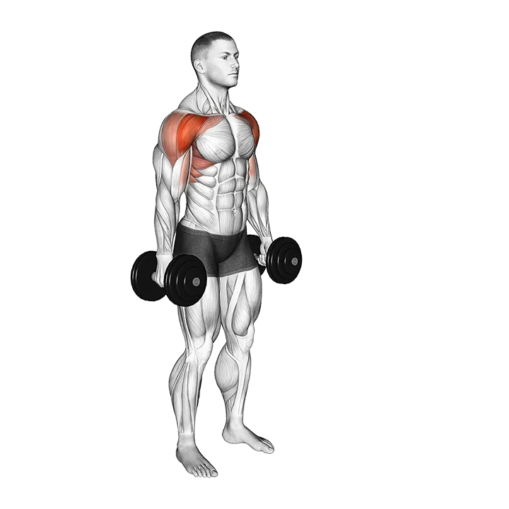 Dumbbell Standing Alternate Vertical Front Raises exercise animation (Male)