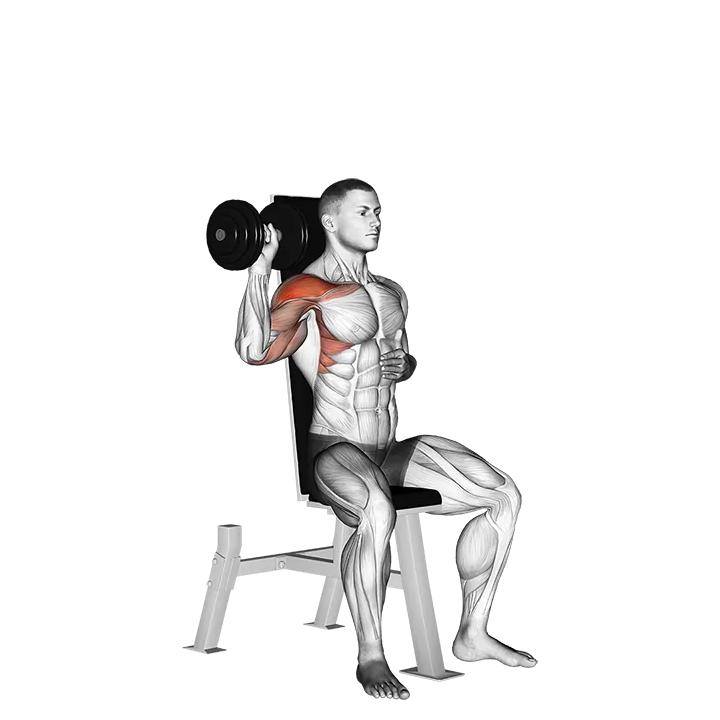 Dumbbell Seated One Arm Shoulder Press exercise animation (Male)