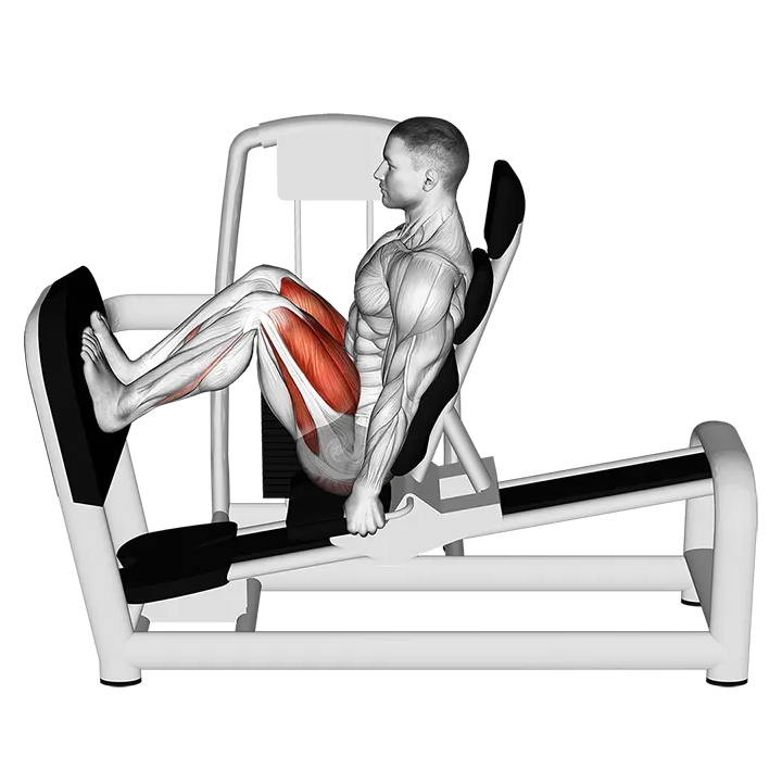 Lever Seated Squat exercise animation (Male)