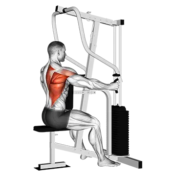 Lever One Arm Seated Row (Seated row machine)