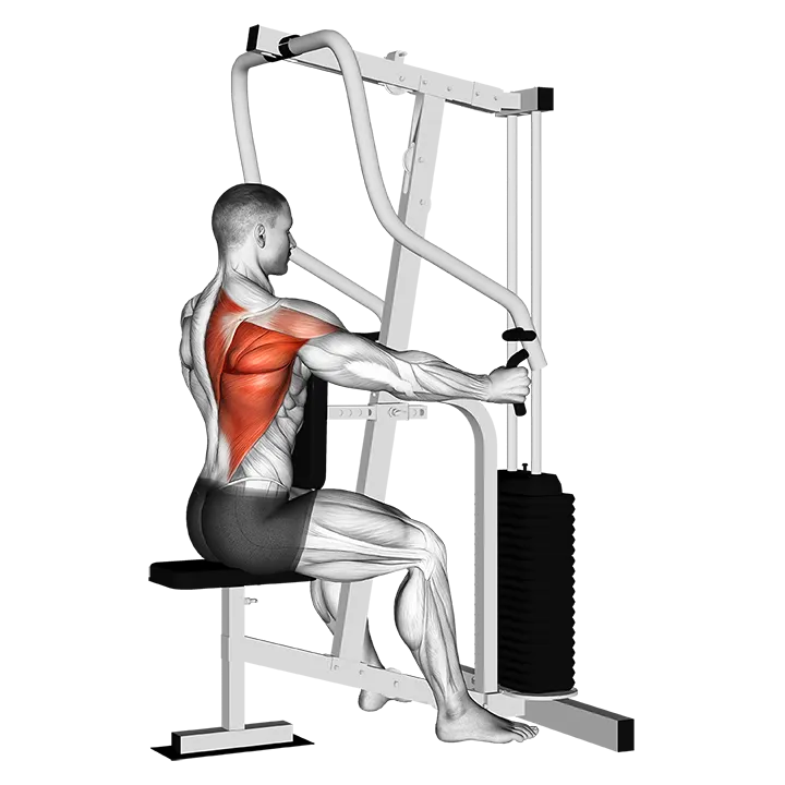 Lever One Arm Seated Row (Seated row machine) exercise animation (Male)