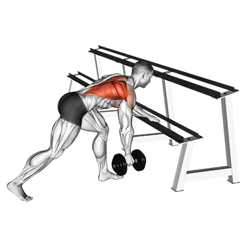 Dumbbell One Arm Row (rack support)