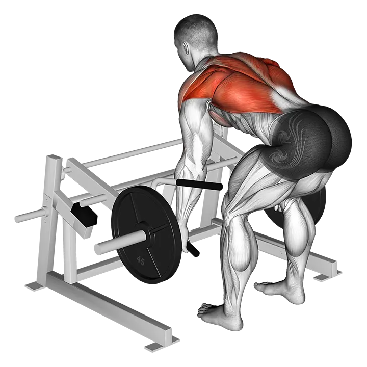 Lever Row (plate loaded) exercise animation (Male)