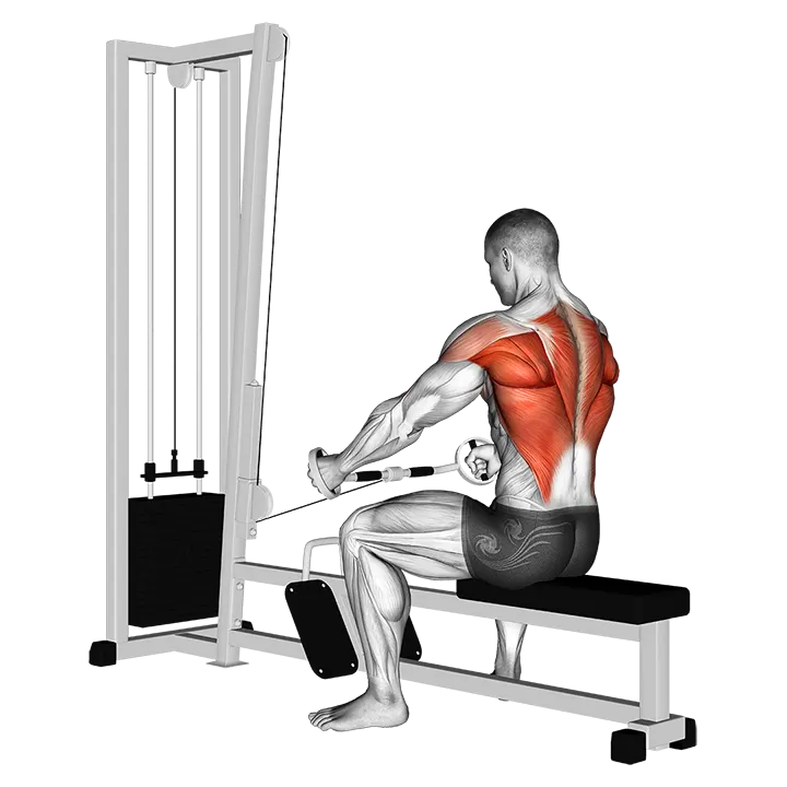 Cable Seated Row (Bent bar) exercise animation (Male)