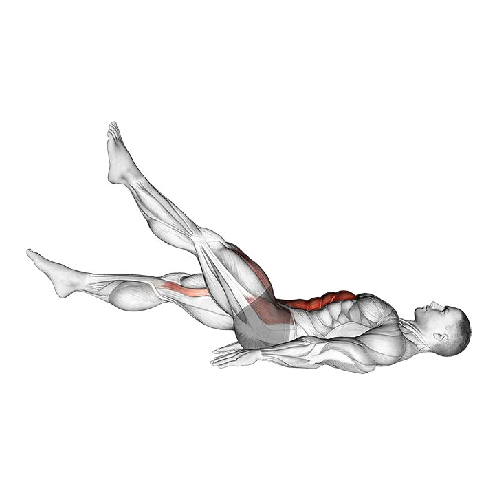 Flutter Kicks (version 3) exercise animation (Male)