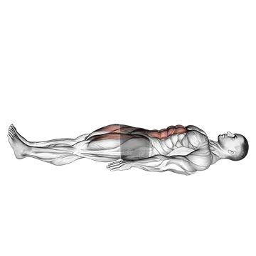 Lying Leg Raise and Hold