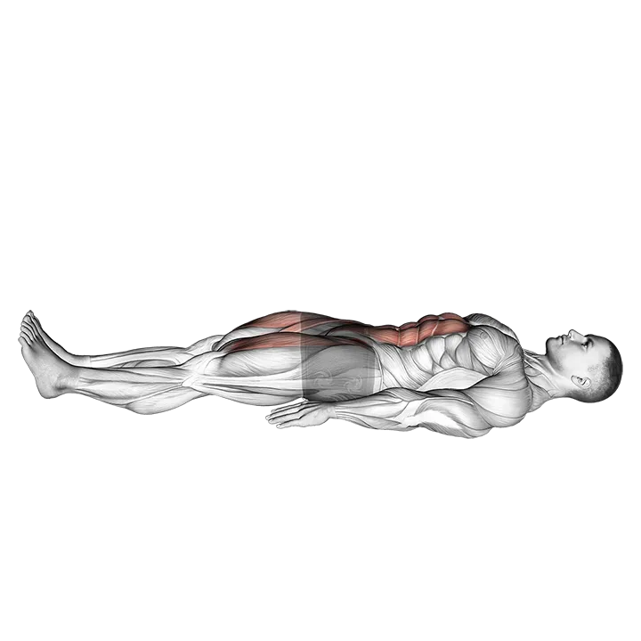 Lying Leg Raise and Hold exercise animation (Male)