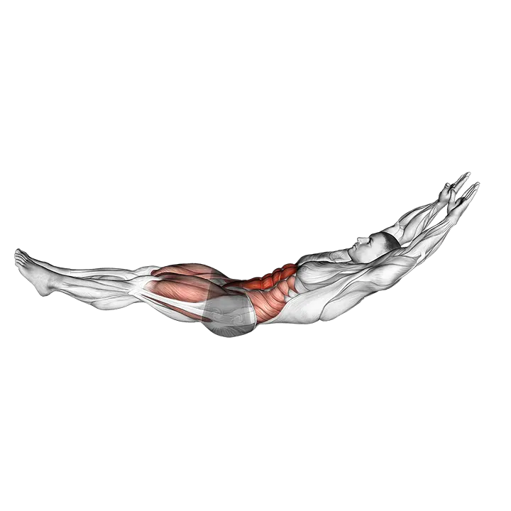 Hollow Hold exercise animation (Male)