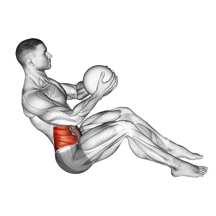Russian Twist (with medicine ball) exercise animation (Male)