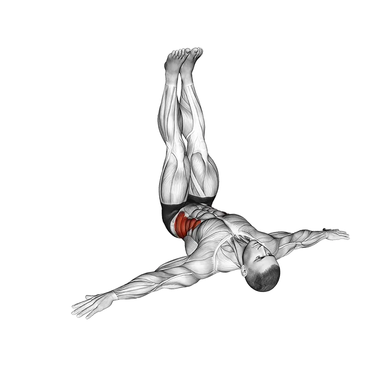 Wipers (straight leg) exercise animation (Male)