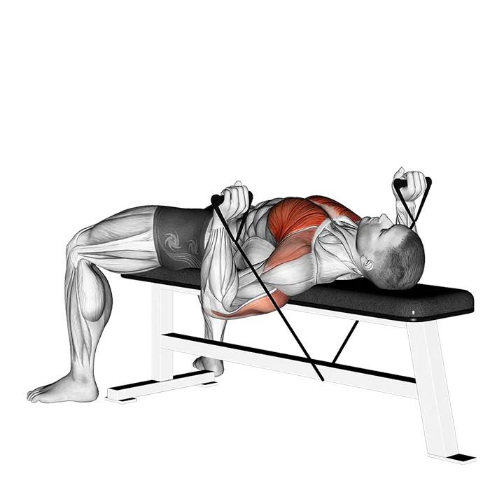 Band Bench Press exercise animation (Male)